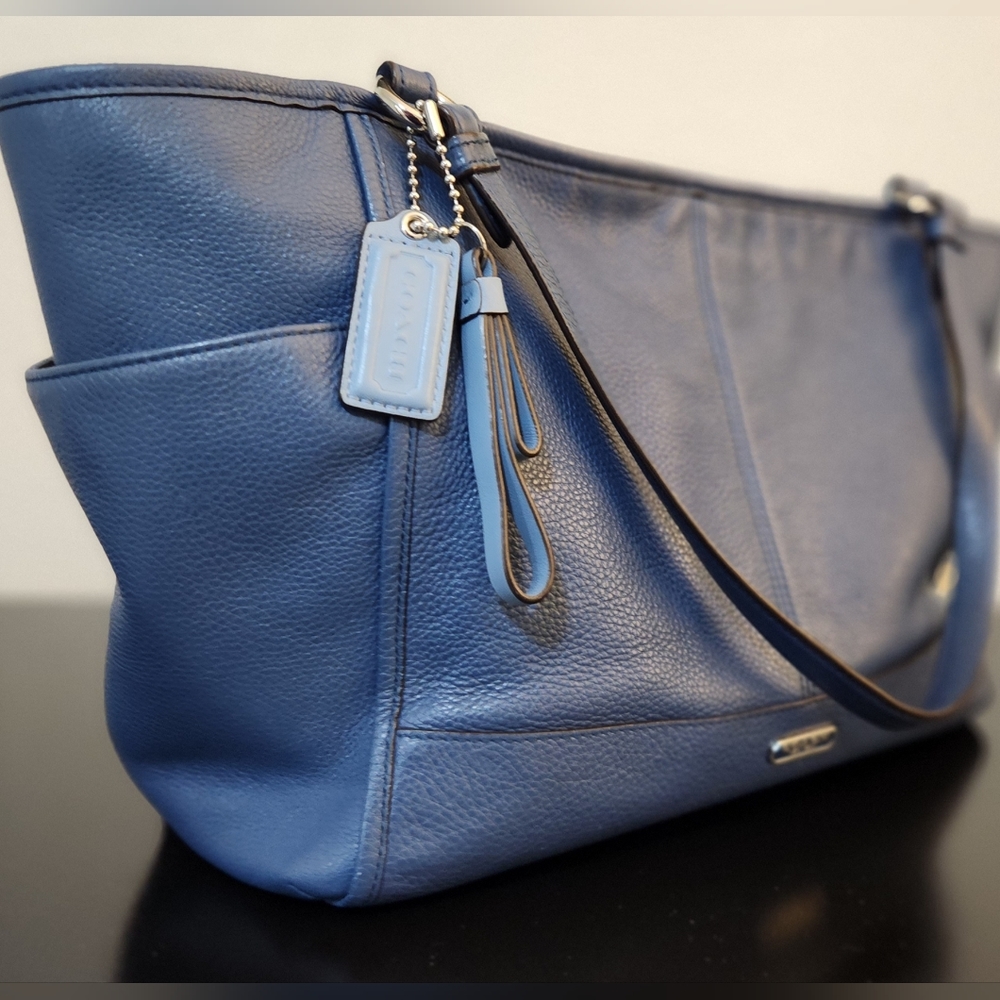 COACH Park Leather Carrie Tote